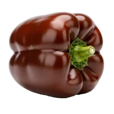 Imagen PNG para descargar